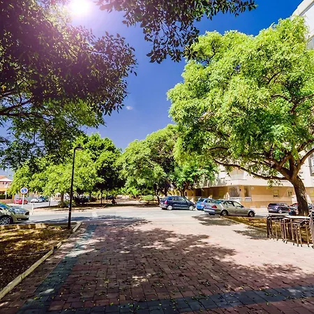 Apartment Penthouse San Miguel 5-7 Torrevieja